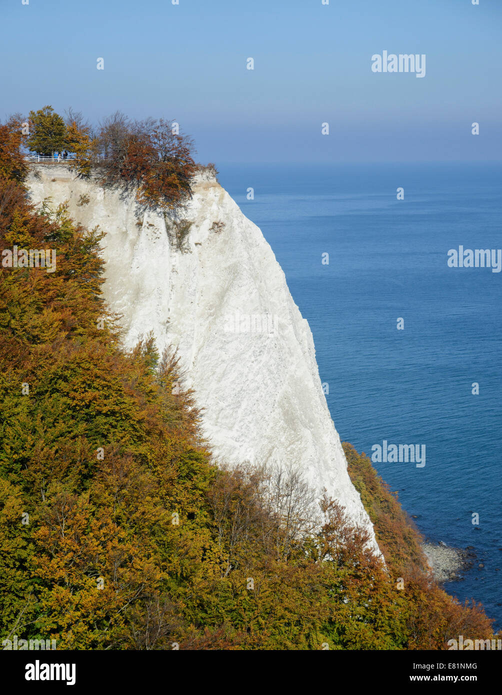 Königsstuhl, Président du Roi, falaises de craie à l'automne, le Parc National de Jasmund, Rügen, Mecklembourg-Poméranie-Occidentale, Allemagne Banque D'Images