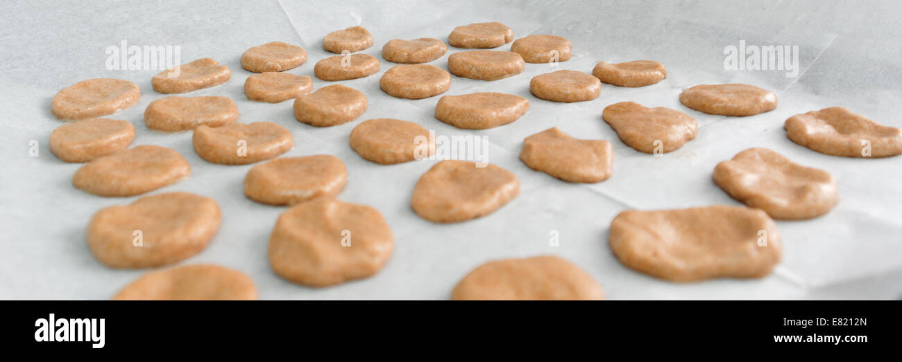 Support de papier, de pâte à biscuits, dans une plaque à pâtisserie avant cuisson Banque D'Images