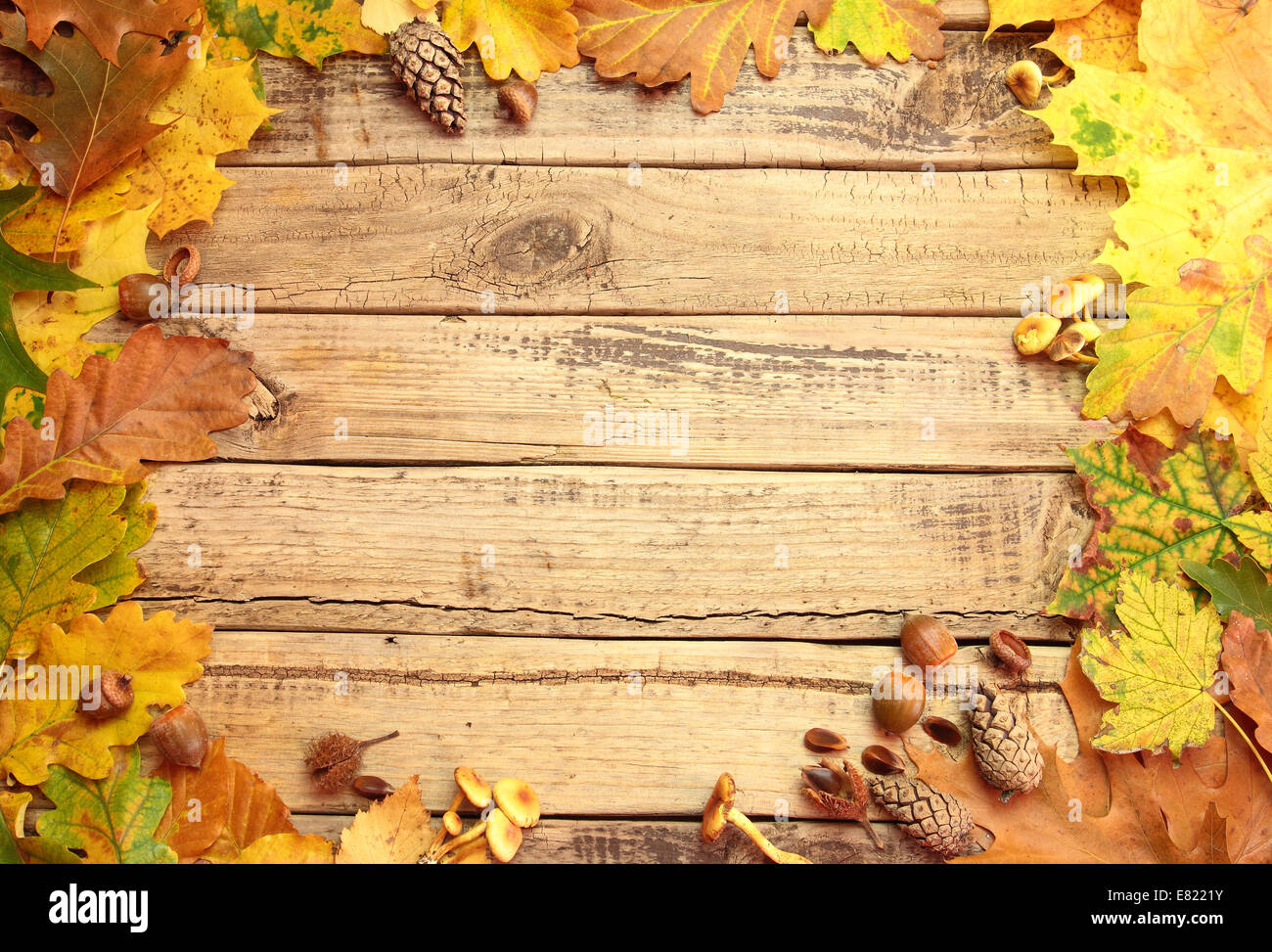 Automne fond avec champignons feuilles et glands sur planche de bois Banque D'Images