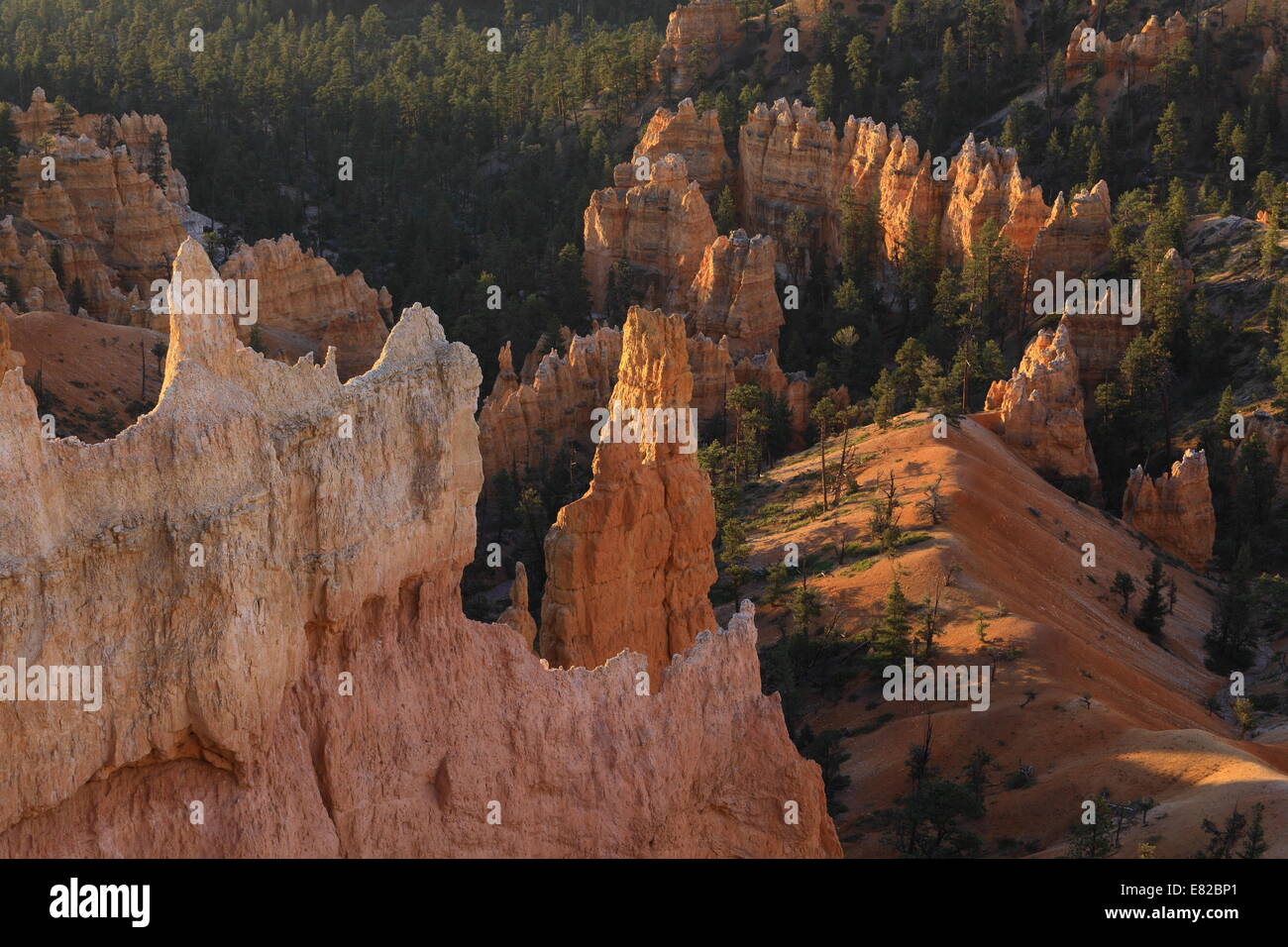 Lever du soleil à l'intérieur de Parc National de Bryce Canyon - Utah - USA Du point de Lever du Soleil Banque D'Images