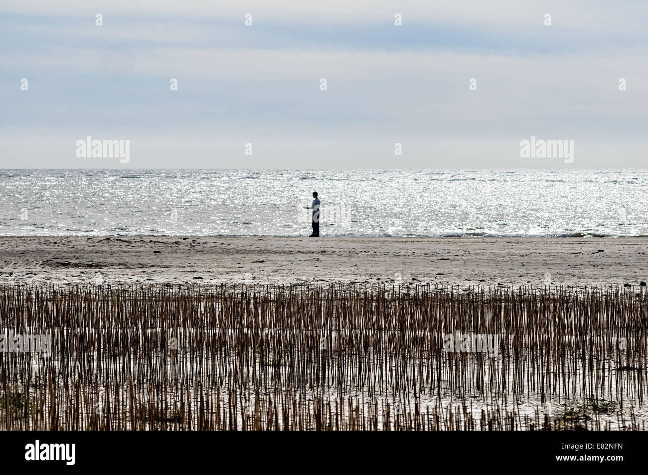 Blaavand beach au Danish côte de la mer du Nord sur une journée ensoleillée Banque D'Images