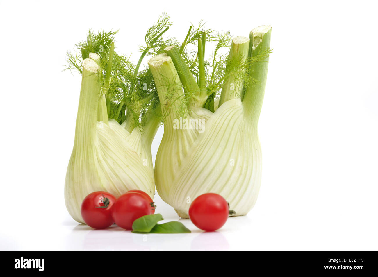 Fenouil deux isolé sur fond blanc avec des tomates cerises Banque D'Images