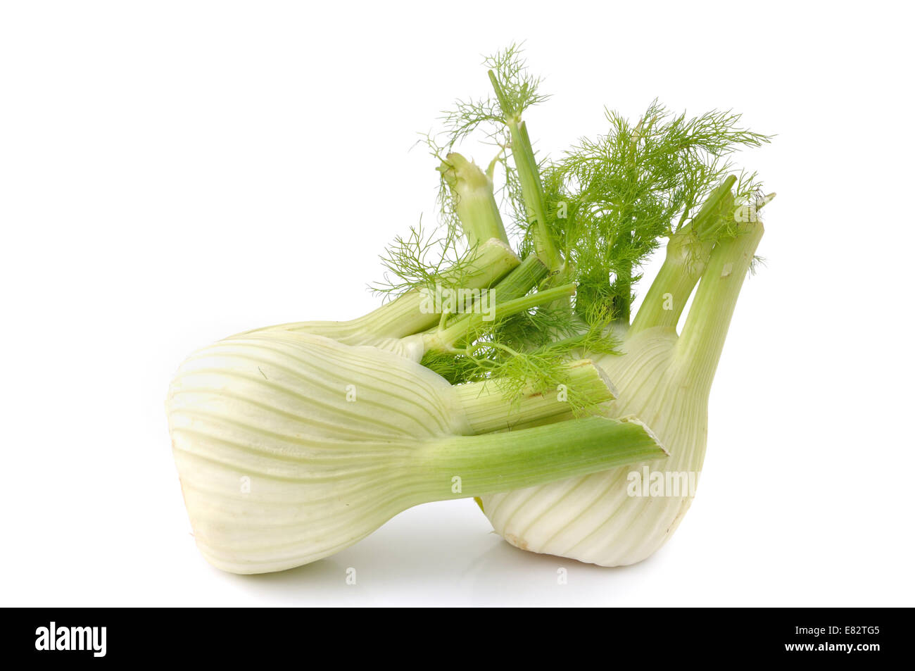 Fenouil deux isolé sur fond blanc Banque D'Images