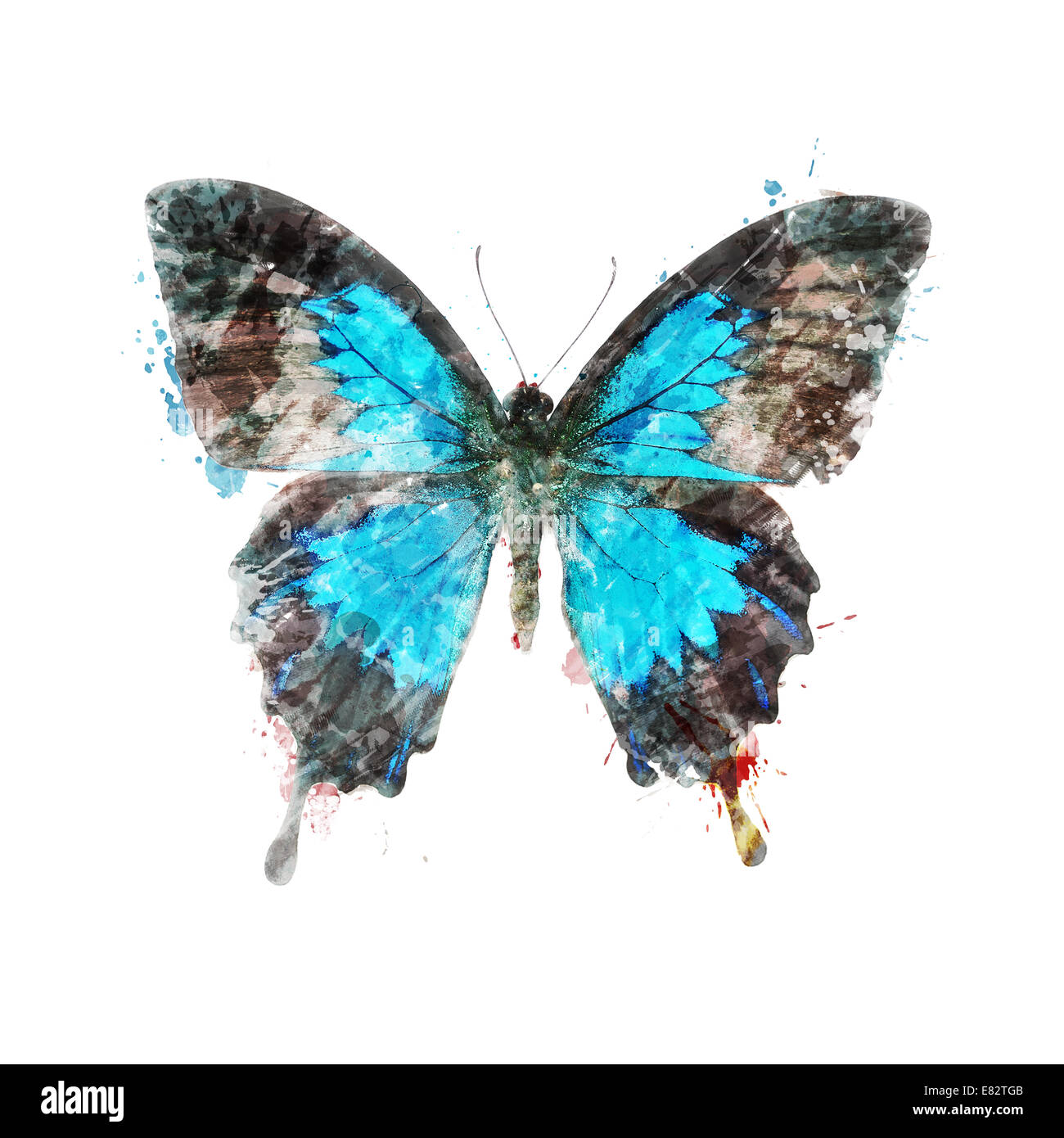 Aquarelle peinture digitale de papillons tropicaux Banque D'Images