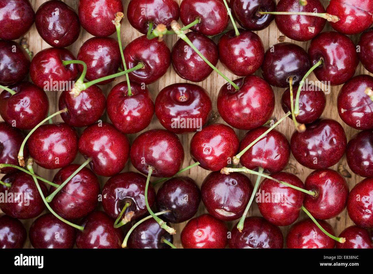 Cerises sur un plateau. Banque D'Images