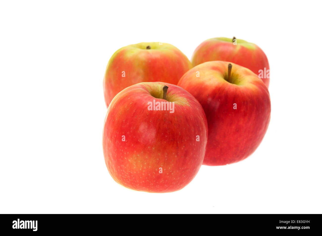 4 pommes rouges - Dame Rose variété. Studio photo avec un fond blanc Banque D'Images