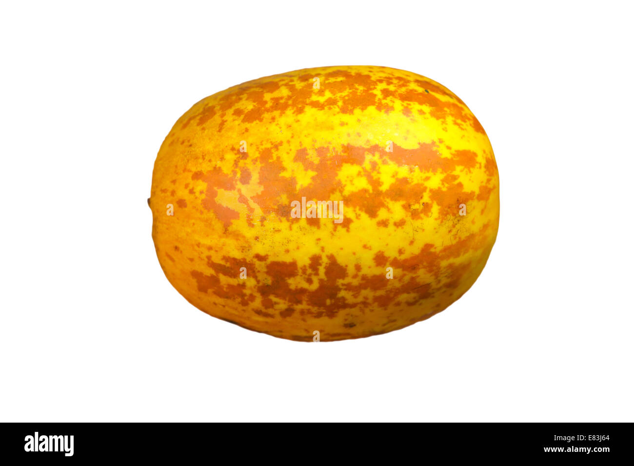 Cucumis melo, un melon / cumcumber utilisé dans la cuisine indienne Banque D'Images