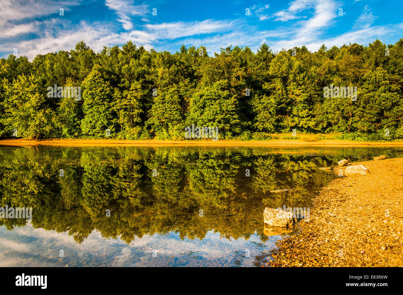 Réflexions le long de la rive du lac de Marburg, parc d'état de Codorus, Pennsylvanie. Banque D'Images