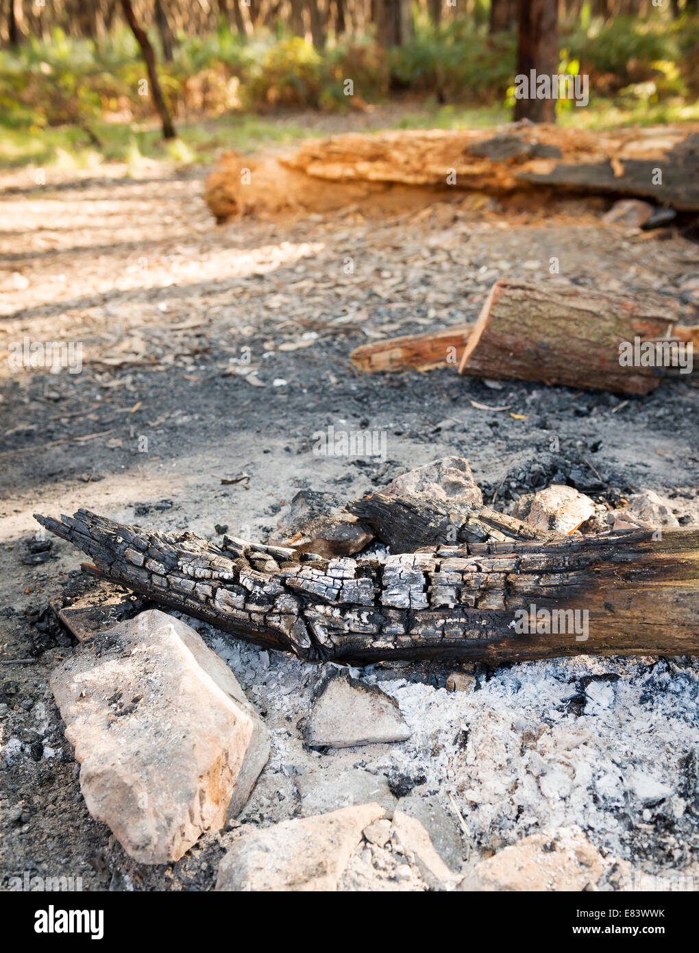Vestiges d'un feu de camp avec le charbon de bois se connecter Banque D'Images