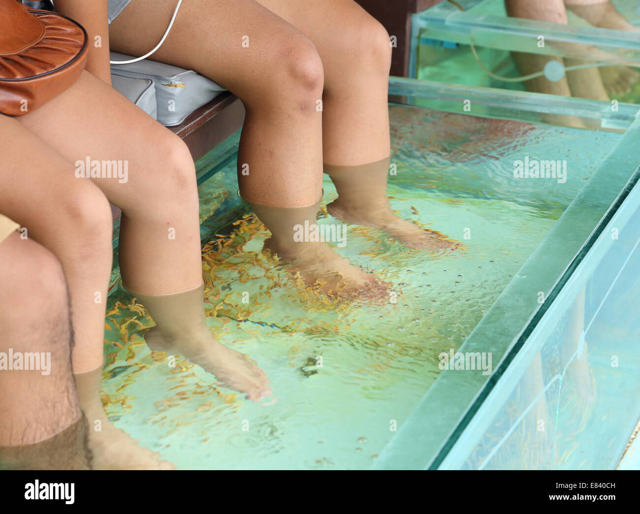 Spa du poisson pour pied Skin Therapy Banque D'Images