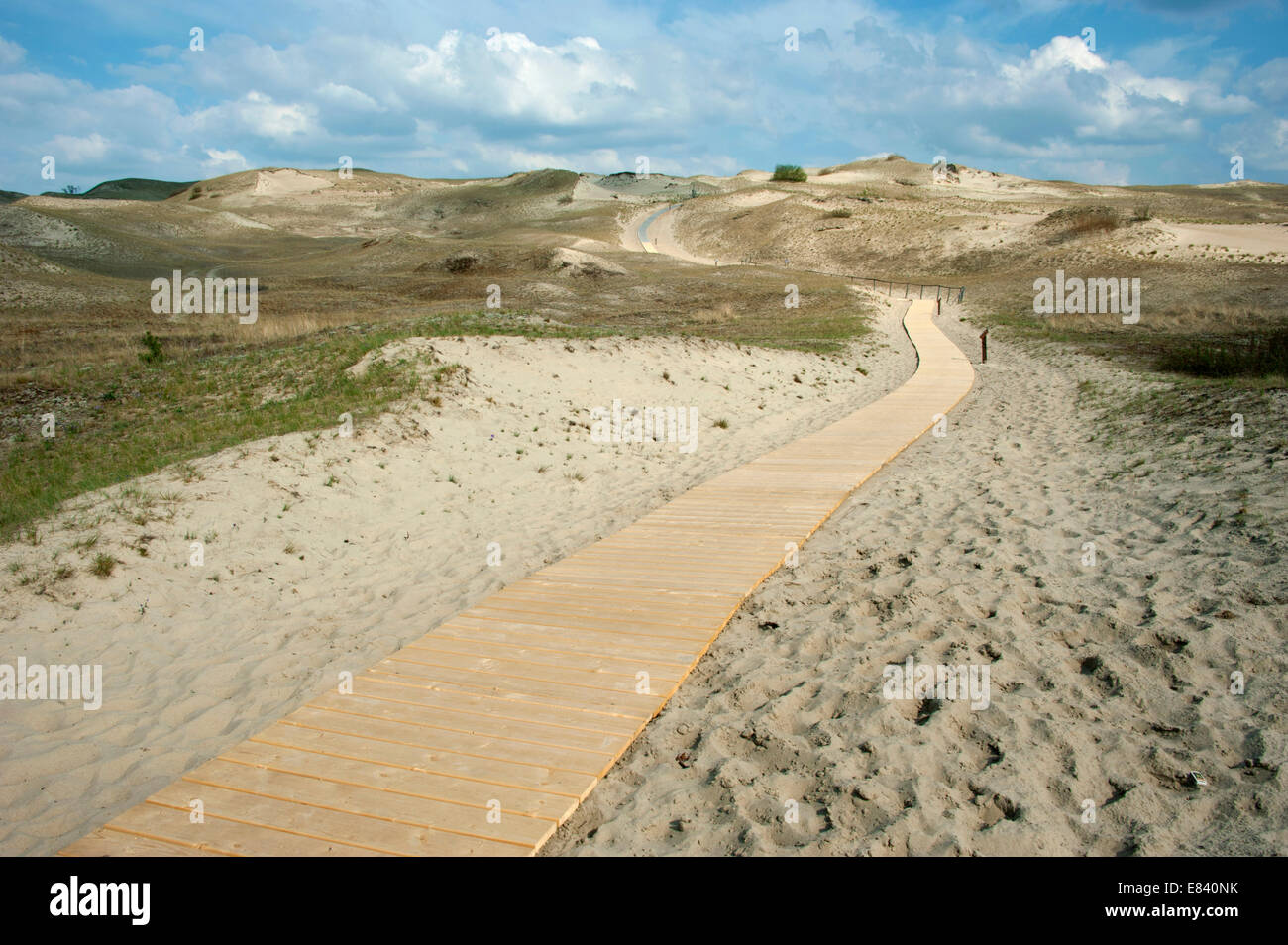 Dunes grises, Courlande, Lituanie, Pays Baltes Banque D'Images