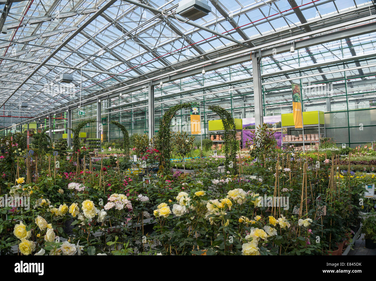 Grand hall de verre avec des plantes dans un centre jardin. Banque D'Images