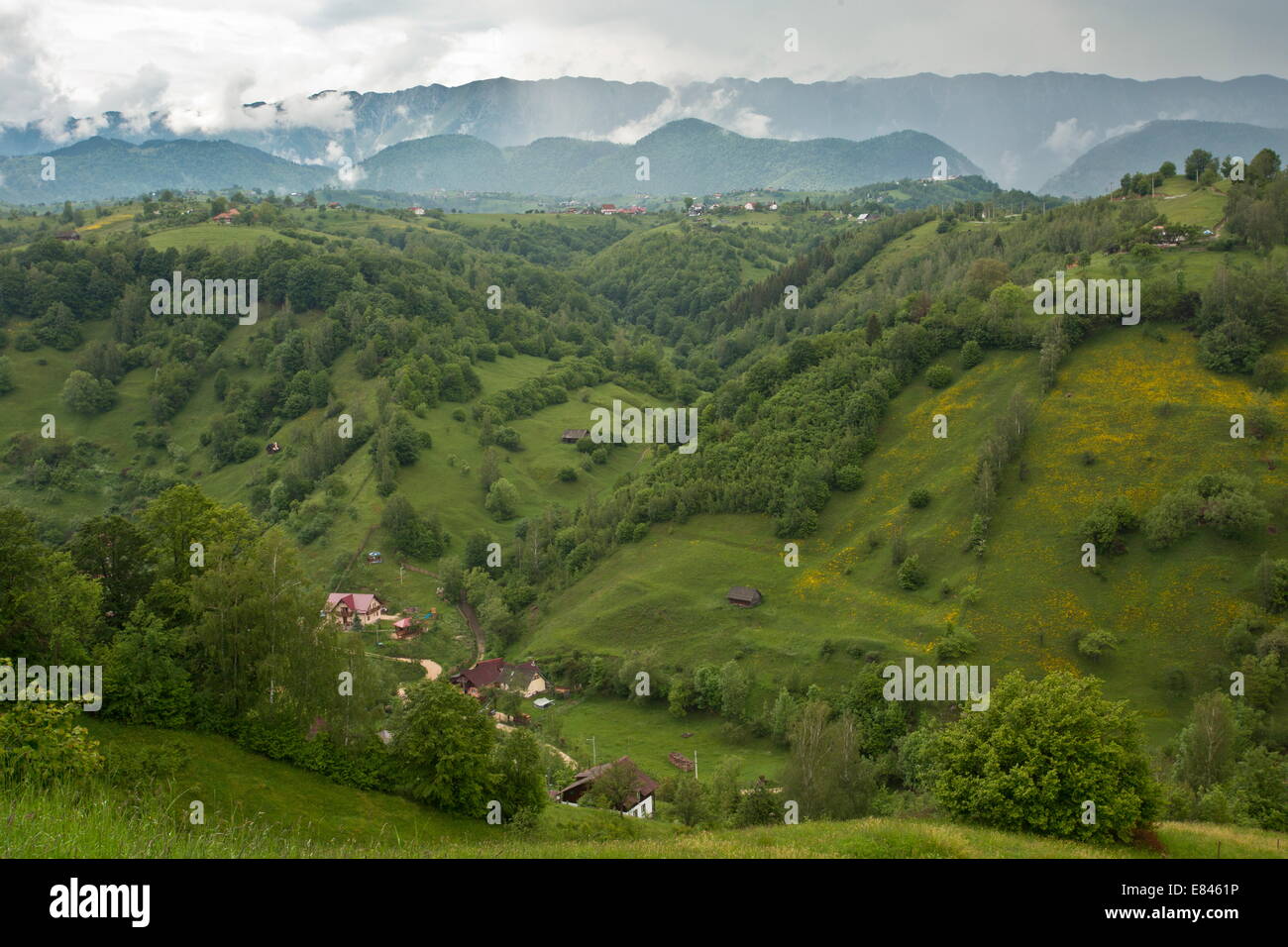 Le Piatra Craiului, Piatra Craiului Parc National dans les Carpates du sud, Roumanie Banque D'Images