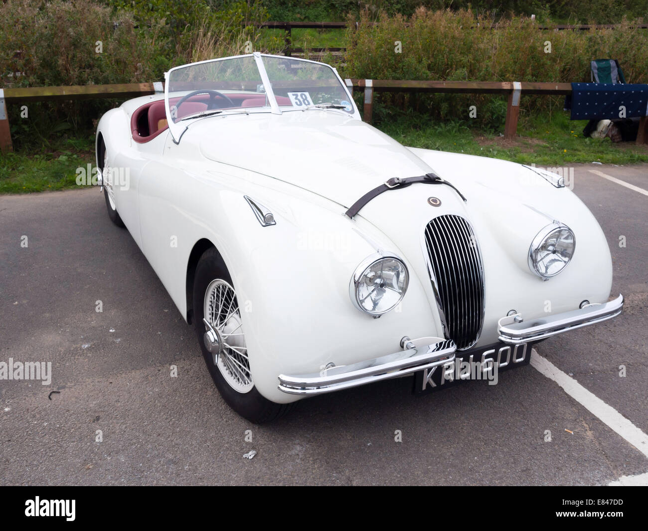 Impeccablement restauré 1950 Jaguar XK120 roadster motor car Banque D'Images