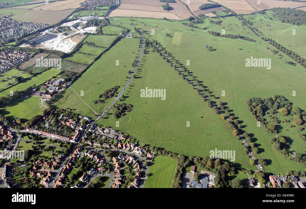 Vue aérienne de Beverley Westwood, East Yorkshire, UK Banque D'Images