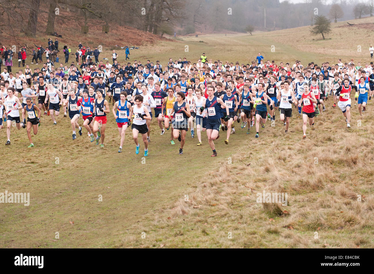 L'Assemblée Knole Run Sevenoaks School cross country 15 jeunes 16 17 ans 6 mile run en équipe à partir de la course d'endurance difficiles Banque D'Images