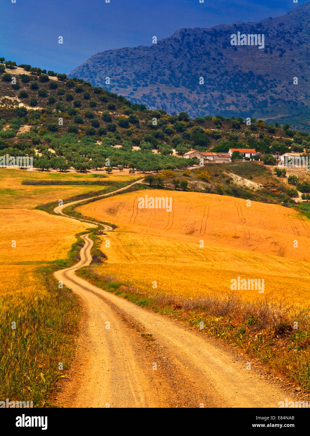 Route sinueuse, près de Colmenar, la province de Malaga, Andalousie, Espagne Banque D'Images