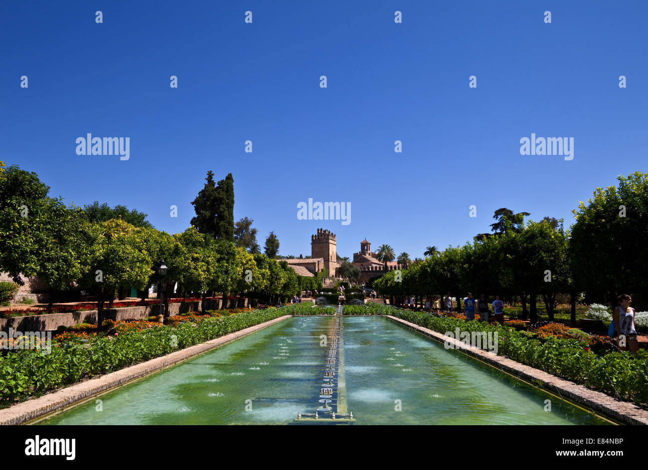 Les jardins du 14ème siècle, l'Alcazar de los Reyes Cristianos, la ville de Cordoba, province de Cordoue, Andalousie, Espagne Banque D'Images