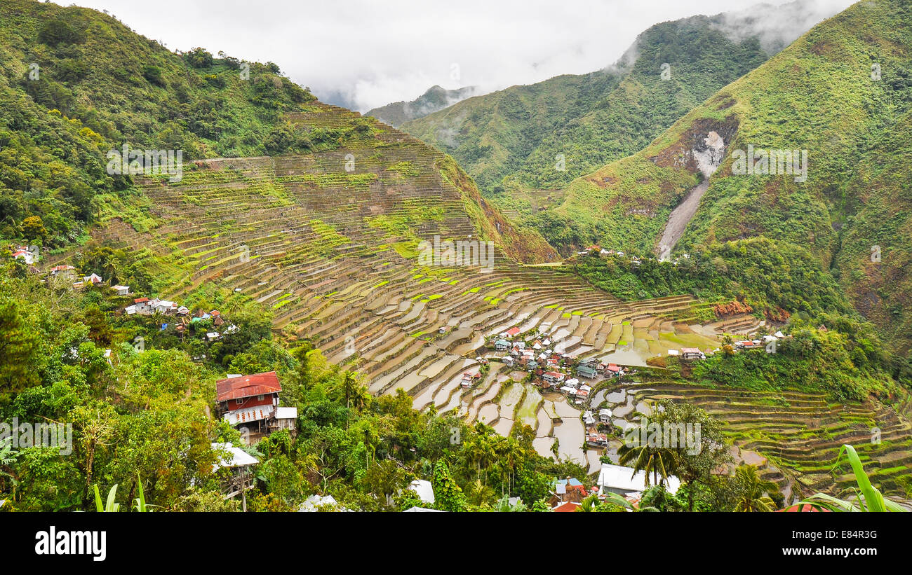 Terrasses de riz de Banaue - Batad, Philippines, Banque D'Images