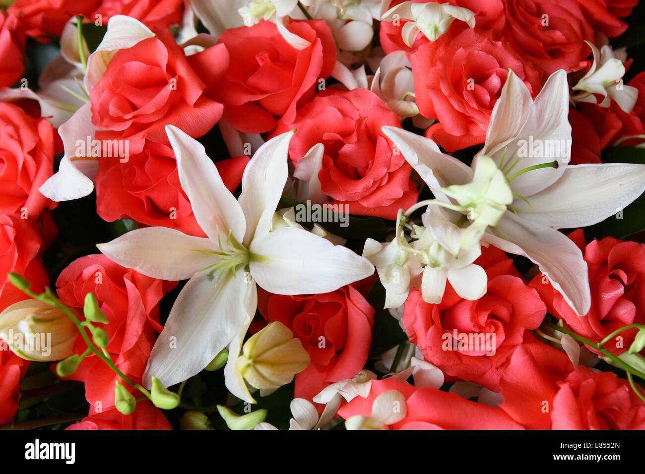 Bouquet de lys blancs et roses rouges Photo Stock - Alamy