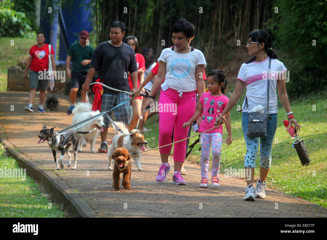 Jakarta, Jakarta, Indonésie. 28 Sep, 2014. Les amateurs de chiens apportent leurs chiens pour commémorer la Journée mondiale de la rage dans la région de Langsat Park. © Arya Manggala/Nuswantoro ZUMAPRESS.com/Alamy ZUMA/fil Live News Banque D'Images