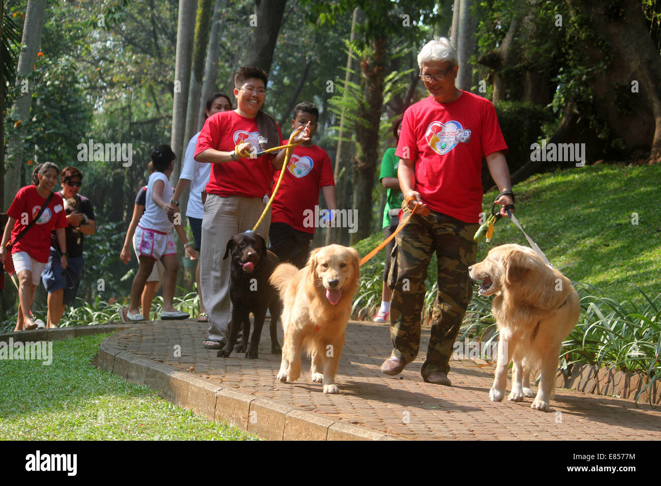 Jakarta, Jakarta, Indonésie. 28 Sep, 2014. Les amateurs de chiens apportent leurs chiens pour commémorer la Journée mondiale de la rage dans la région de Langsat Park. © Arya Manggala/Nuswantoro ZUMAPRESS.com/Alamy ZUMA/fil Live News Banque D'Images