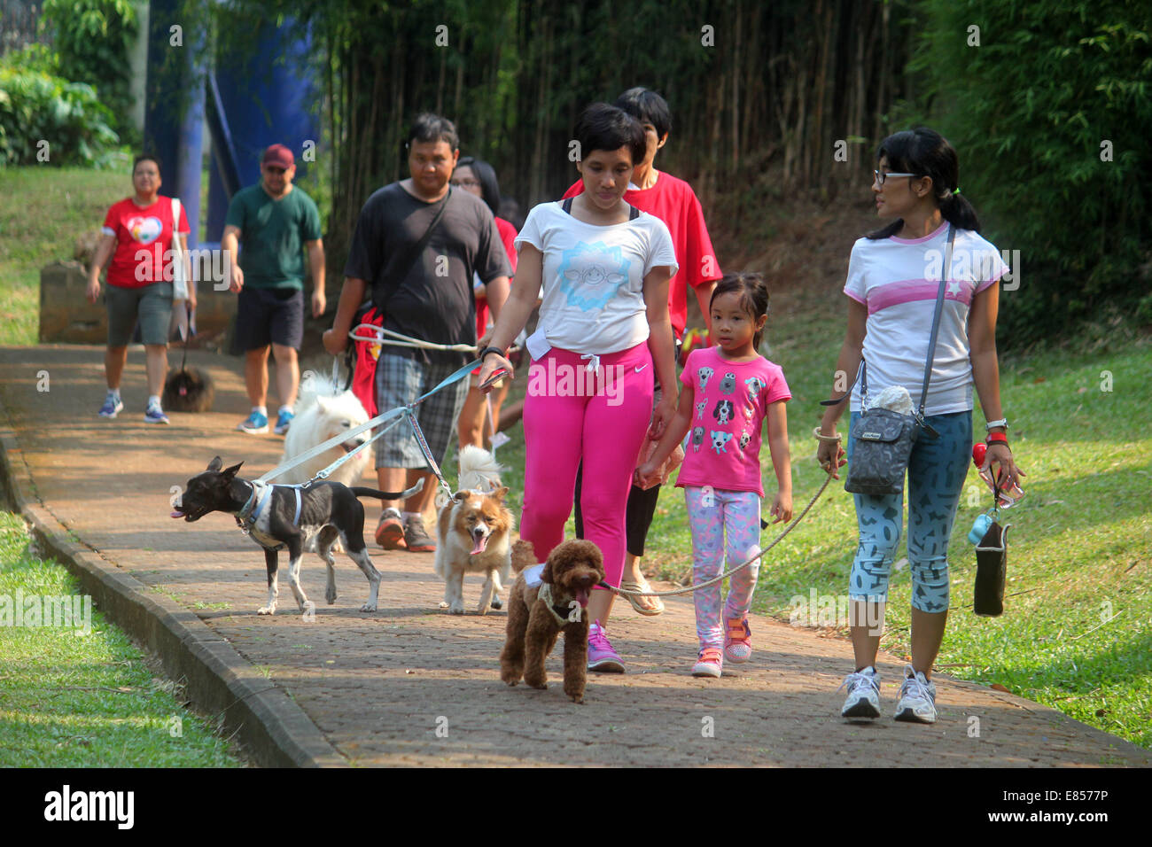 Jakarta, Jakarta, Indonésie. 28 Sep, 2014. Les amateurs de chiens apportent leurs chiens pour commémorer la Journée mondiale de la rage dans la région de Langsat Park. © Arya Manggala/Nuswantoro ZUMAPRESS.com/Alamy ZUMA/fil Live News Banque D'Images