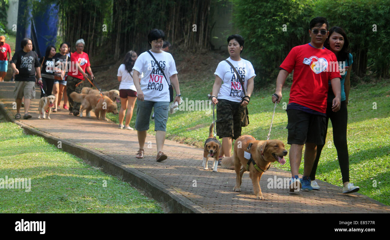 Jakarta, Jakarta, Indonésie. 28 Sep, 2014. Les amateurs de chiens apportent leurs chiens pour commémorer la Journée mondiale de la rage dans la région de Langsat Park. © Arya Manggala/Nuswantoro ZUMAPRESS.com/Alamy ZUMA/fil Live News Banque D'Images
