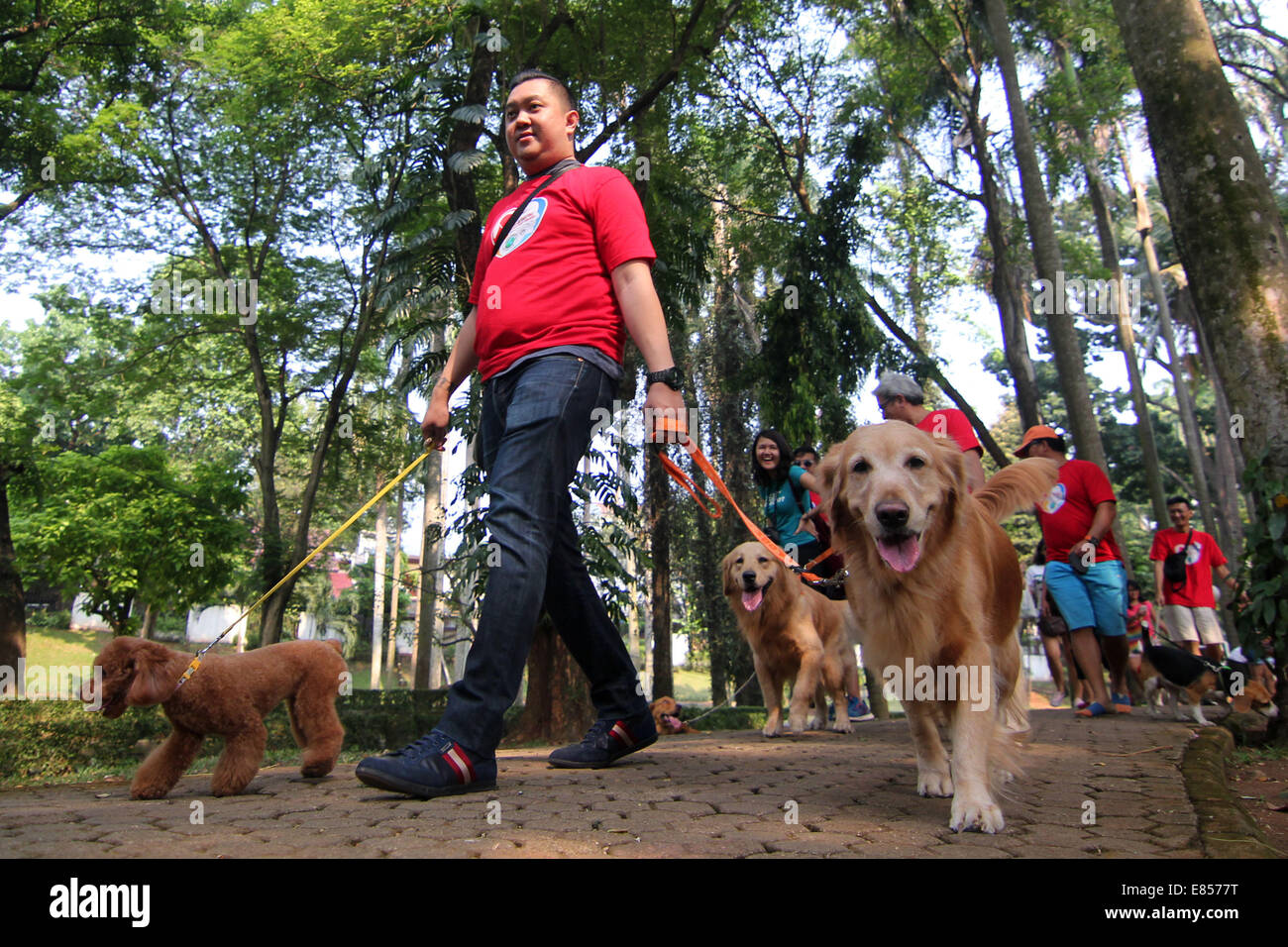Jakarta, Jakarta, Indonésie. 28 Sep, 2014. Les amateurs de chiens apportent leurs chiens pour commémorer la Journée mondiale de la rage dans la région de Langsat Park. © Arya Manggala/Nuswantoro ZUMAPRESS.com/Alamy ZUMA/fil Live News Banque D'Images
