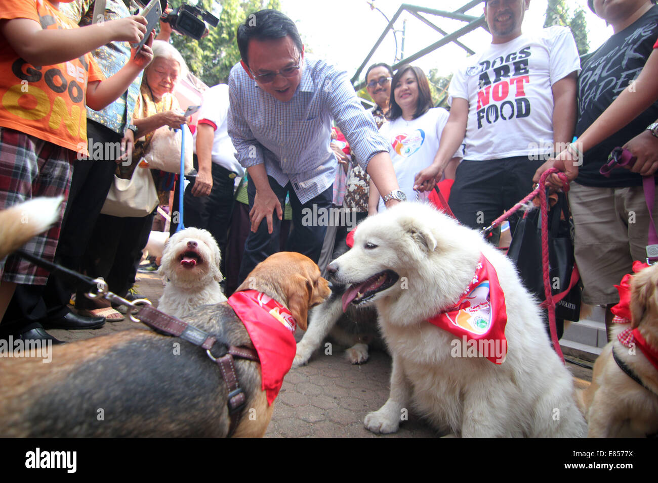Jakarta, Jakarta, Indonésie. 28 Sep, 2014. Les amateurs de chiens apportent leurs chiens pour commémorer la Journée mondiale de la rage dans la région de Langsat Park. © Arya Manggala/Nuswantoro ZUMAPRESS.com/Alamy ZUMA/fil Live News Banque D'Images