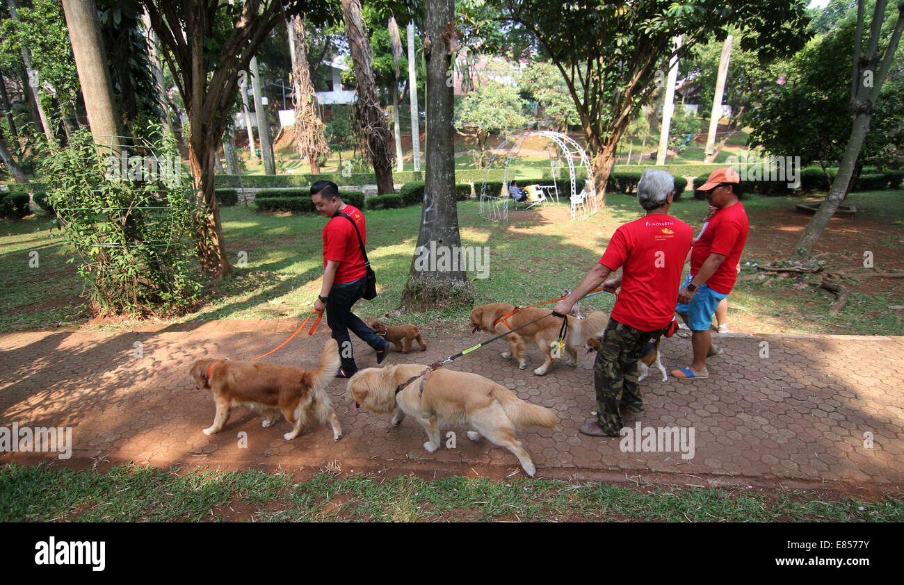 Jakarta, Jakarta, Indonésie. 28 Sep, 2014. Les amateurs de chiens apportent leurs chiens pour commémorer la Journée mondiale de la rage dans la région de Langsat Park. © Arya Manggala/Nuswantoro ZUMAPRESS.com/Alamy ZUMA/fil Live News Banque D'Images