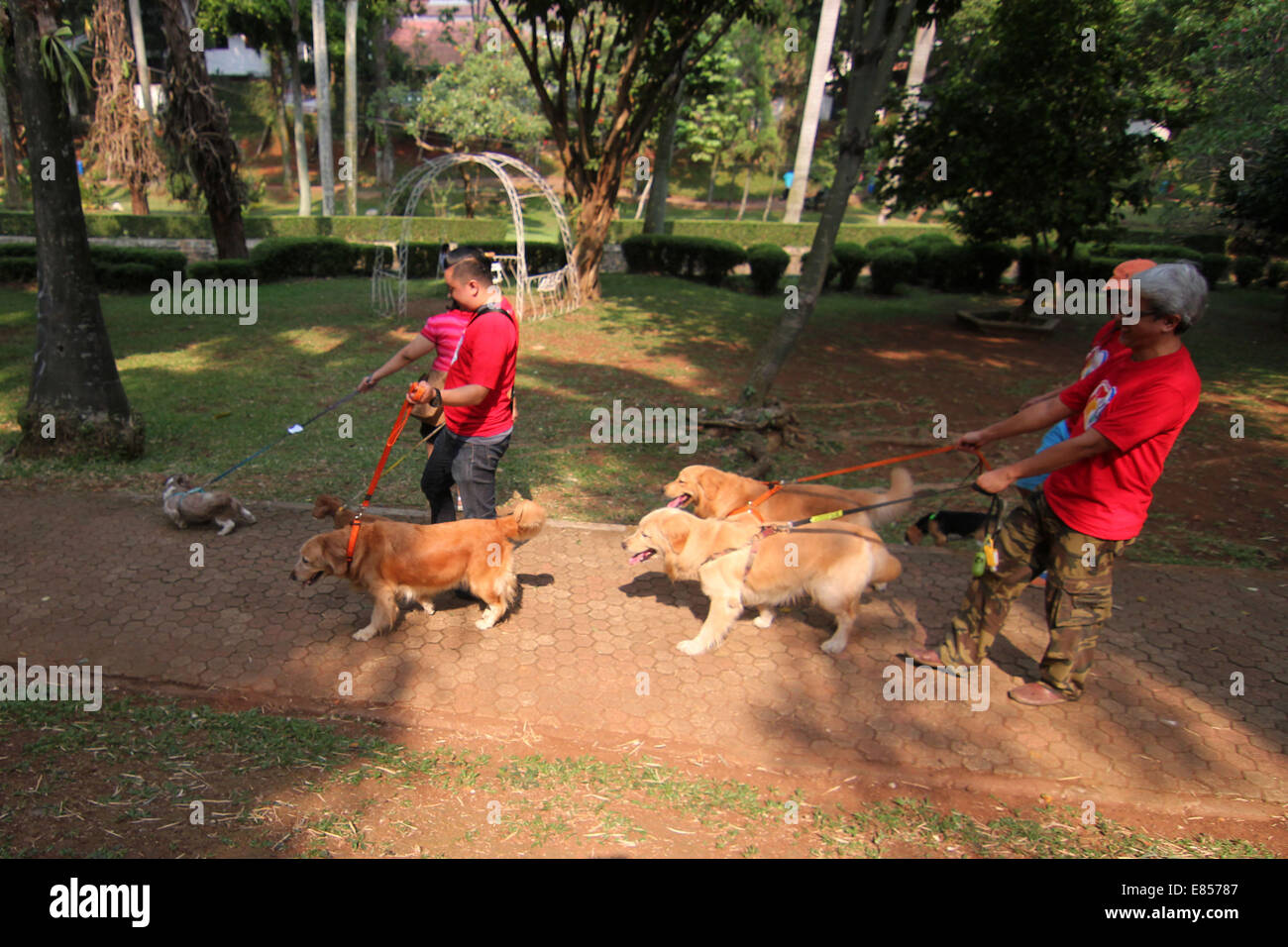 Jakarta, Jakarta, Indonésie. 28 Sep, 2014. Les amateurs de chiens apportent leurs chiens pour commémorer la Journée mondiale de la rage dans la région de Langsat Park. © Arya Manggala/Nuswantoro ZUMAPRESS.com/Alamy ZUMA/fil Live News Banque D'Images