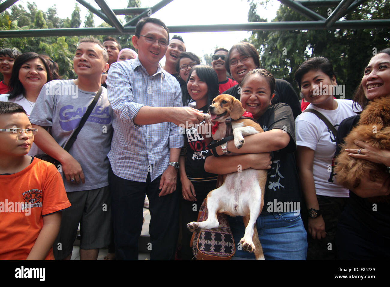 Jakarta, Jakarta, Indonésie. 28 Sep, 2014. Les amateurs de chiens apportent leurs chiens pour commémorer la Journée mondiale de la rage dans la région de Langsat Park. © Arya Manggala/Nuswantoro ZUMAPRESS.com/Alamy ZUMA/fil Live News Banque D'Images