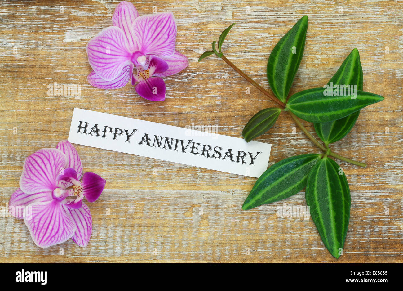 Heureux Anniversaire Carte Avec Fleurs Orchidee Rose Sur La Surface En Bois Photo Stock Alamy Heureux Anniversaire Carte Avec Fleurs Orchidee Rose Sur La Surface En Bois Photo Stock Alamy