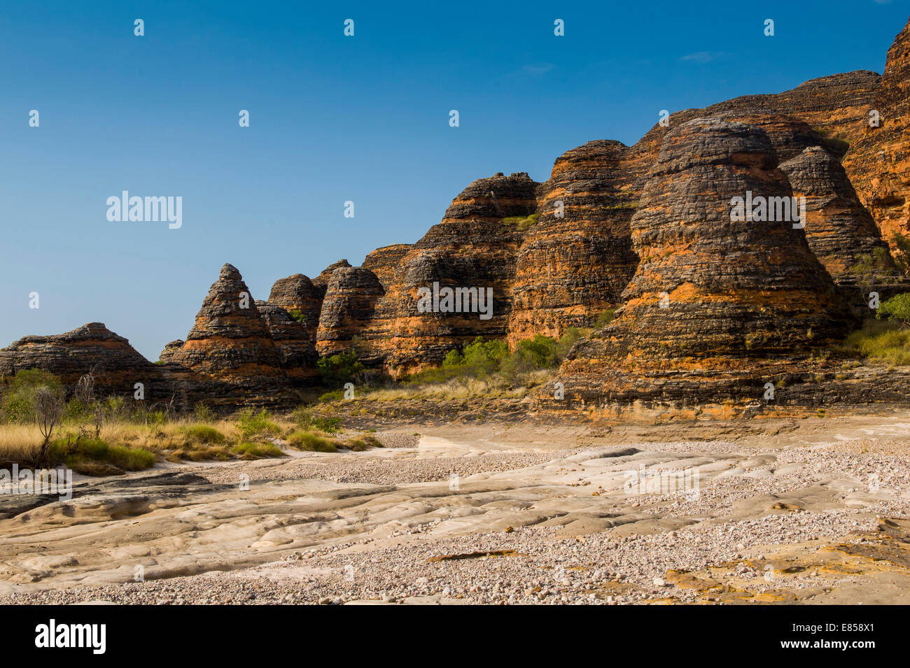 Bungle Bungles, tours de grès en forme de ruche, le Parc National de Purnululu, Site du patrimoine mondial de l'UNESCO, de l'Est Kimberleys Banque D'Images
