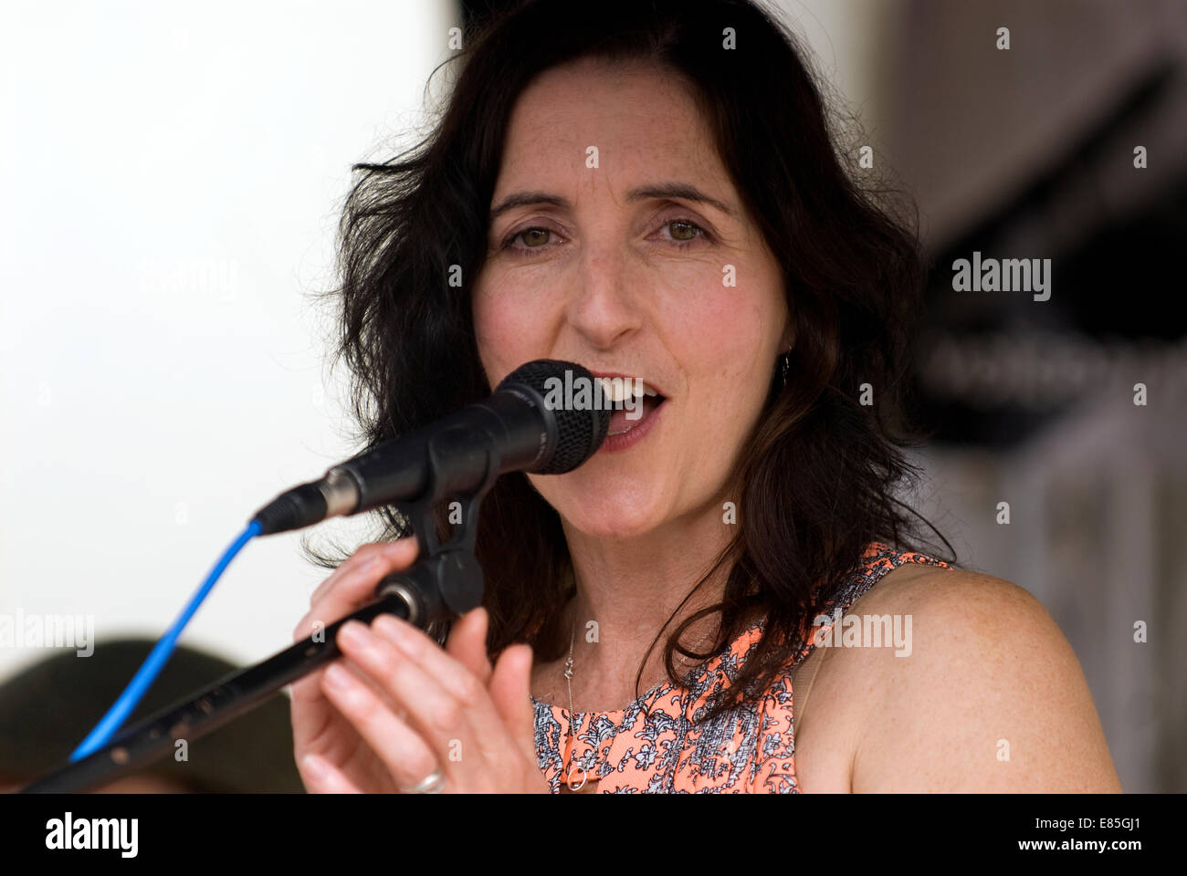 La chanteuse pop et jazz contemporain jackie Collins à partir de la voix et les touches d'effectuer au farnham Food Festival 2014, Farnham, Surrey, Royaume-Uni. Banque D'Images