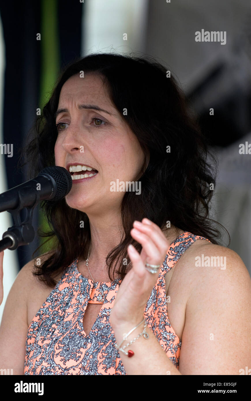 La chanteuse pop et jazz contemporain jackie Collins à partir de la voix et les touches d'effectuer au farnham Food Festival 2014, Farnham, Surrey, Royaume-Uni. Banque D'Images