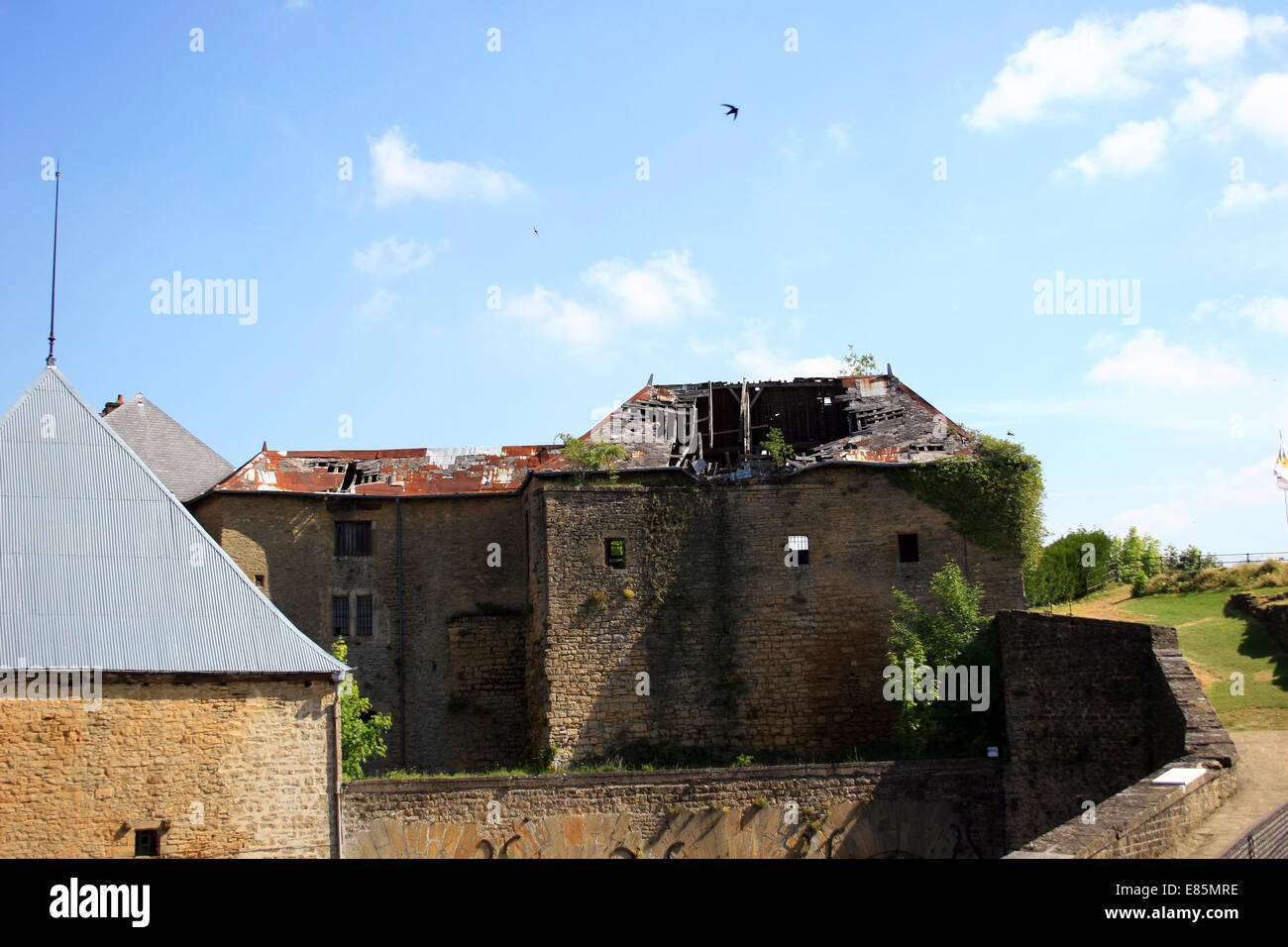 Berline ardennes Banque de photographies et d’images à haute résolution ...