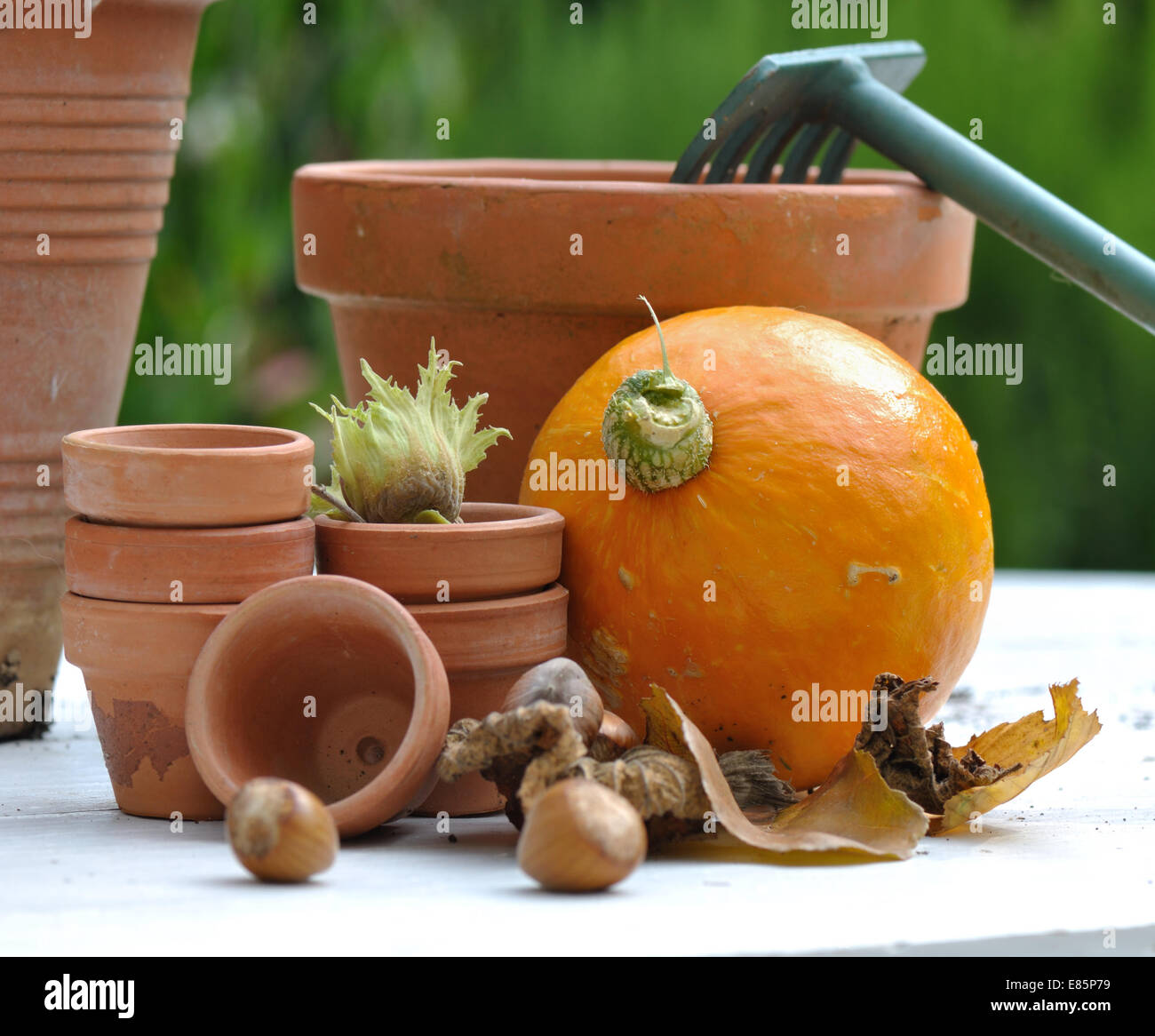 Potiron, noisettes et de feuilles mortes recueillies parmi les pots de terre cuite Banque D'Images