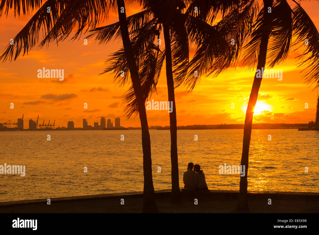 COUPLE ASSIS SOUS PALM TREES PORT DE MIAMI BEACH DE MIAMI SKYLINE BISCAYNE BAY MIAMI FLORIDA USA Banque D'Images