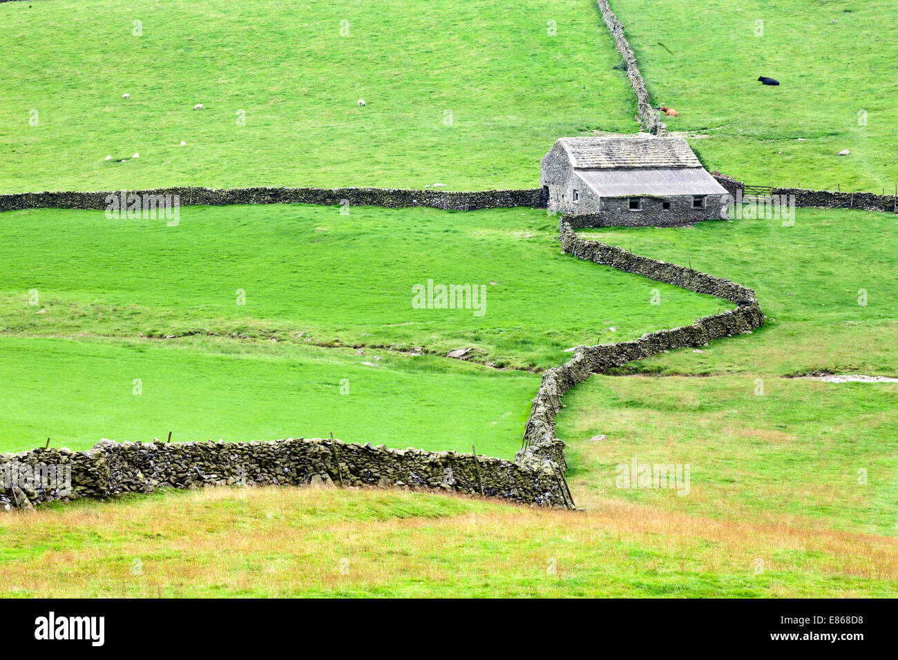 Domaine Grange et murs en pierre sèche en Crummack Dale Yorkshire Dales England Banque D'Images