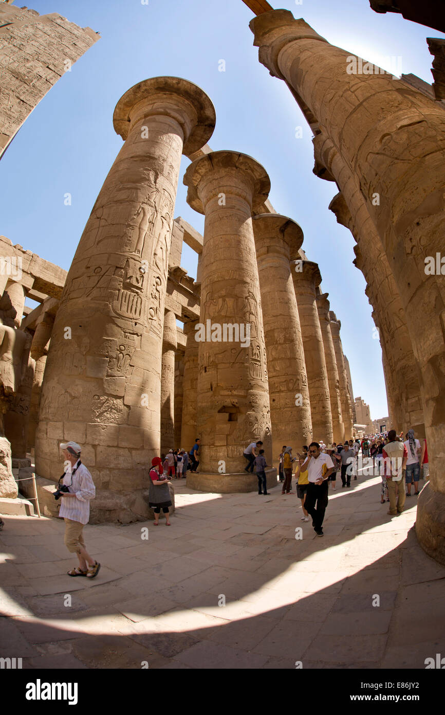 Egypte, Louxor, Temple de Karnak, les colonnes de la grande salle hypostyle, distorsion grand angle fish eye Banque D'Images