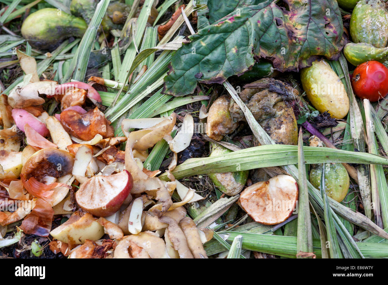 Compost de jardin, le compostage des matières organiques détail Banque D'Images