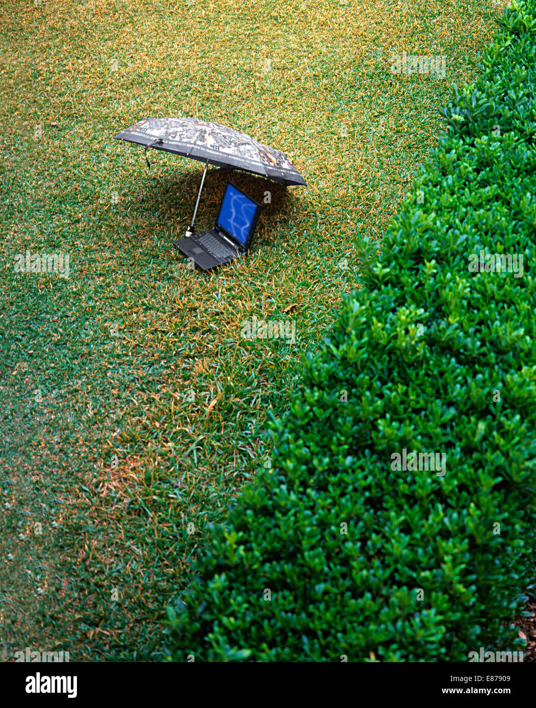 La paix de l'esprit. Ordinateur portable sous le parapluie d'herbes près d'arbustes. Concept de sécurité de l'information ou de l'assurance Banque D'Images