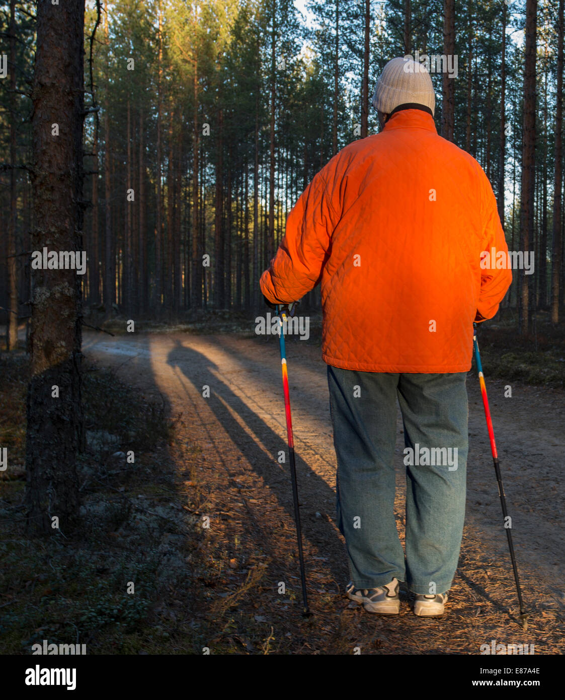 Femme âgée debout dans la forêt avec des bâtons de marche nordique , Finlande Banque D'Images