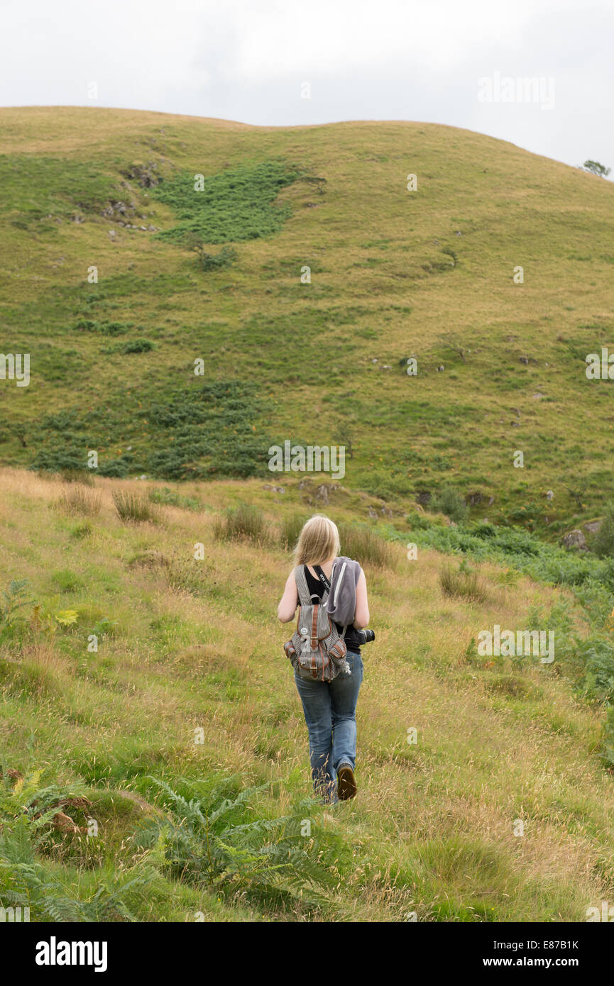 Après-midi d'été, vue arrière d'une jeune femme fille rambler de marcher seul le long d'un sentier public dans les collines de Ceredigion rural Banque D'Images