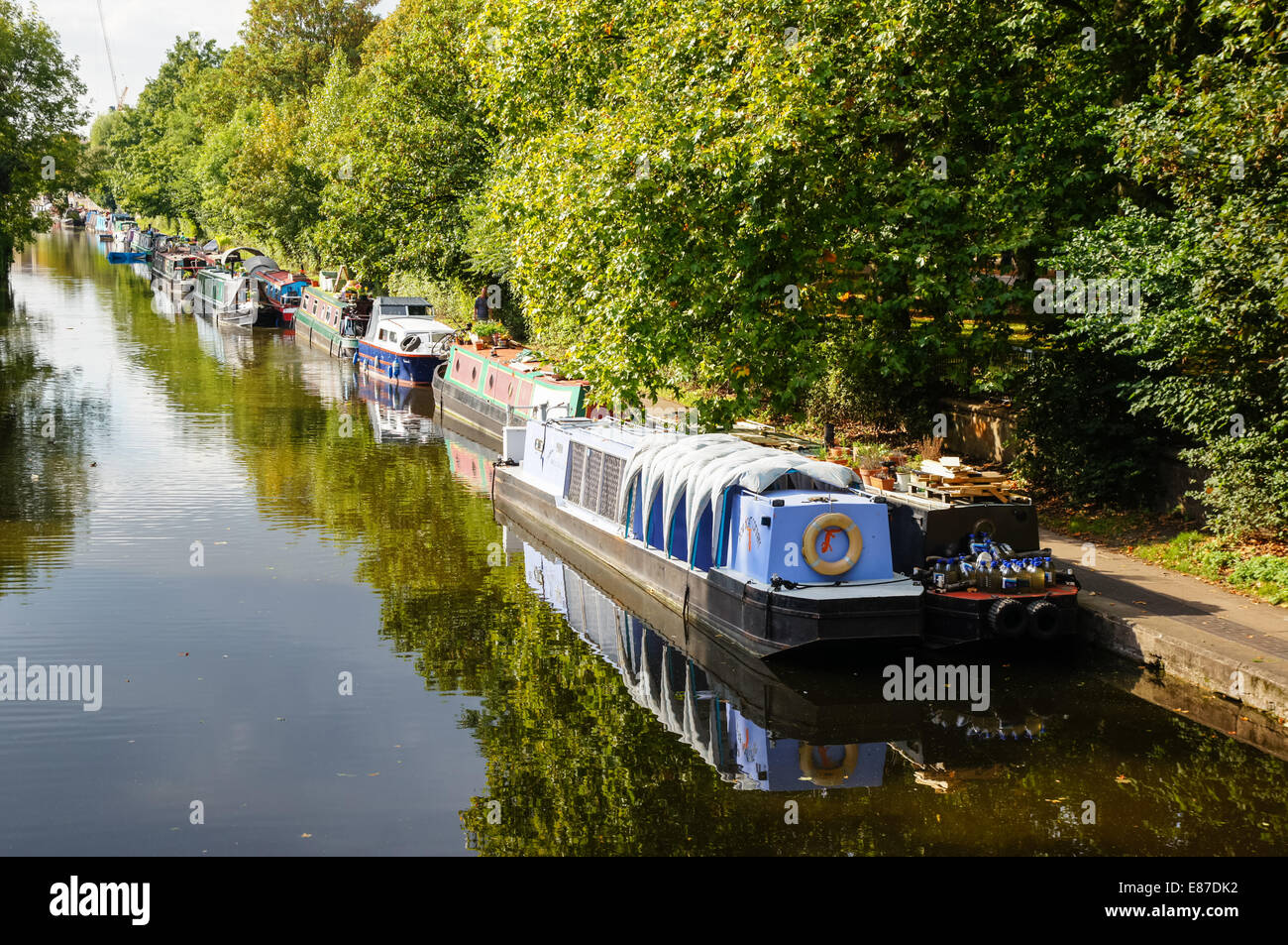 Regent's Canal près de Victoria Park, London England Royaume-Uni UK Banque D'Images