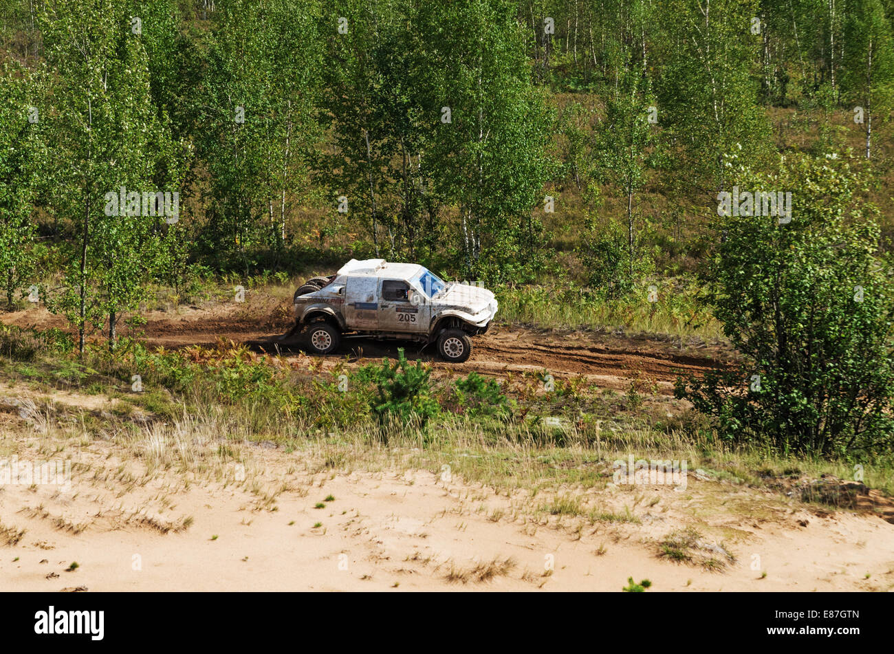 Courses sur un rallye-raid - jeune forêt. Banque D'Images