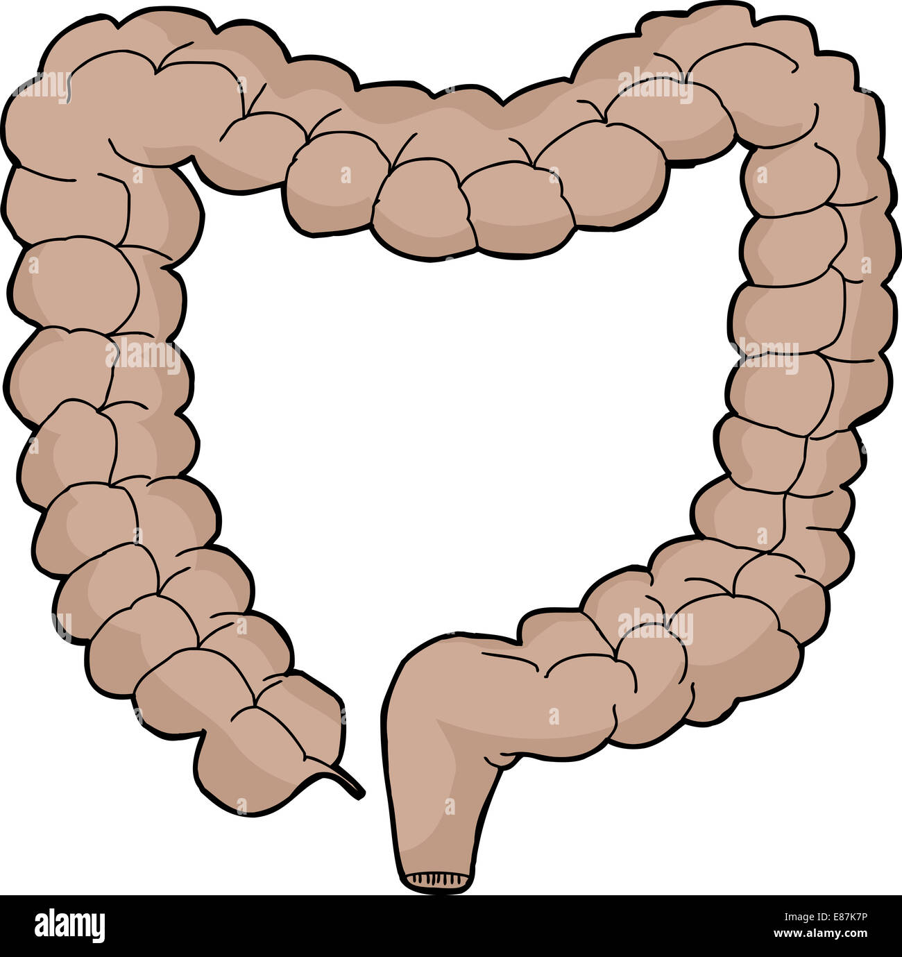 La main isolé du gros intestin humain cartoon Banque D'Images