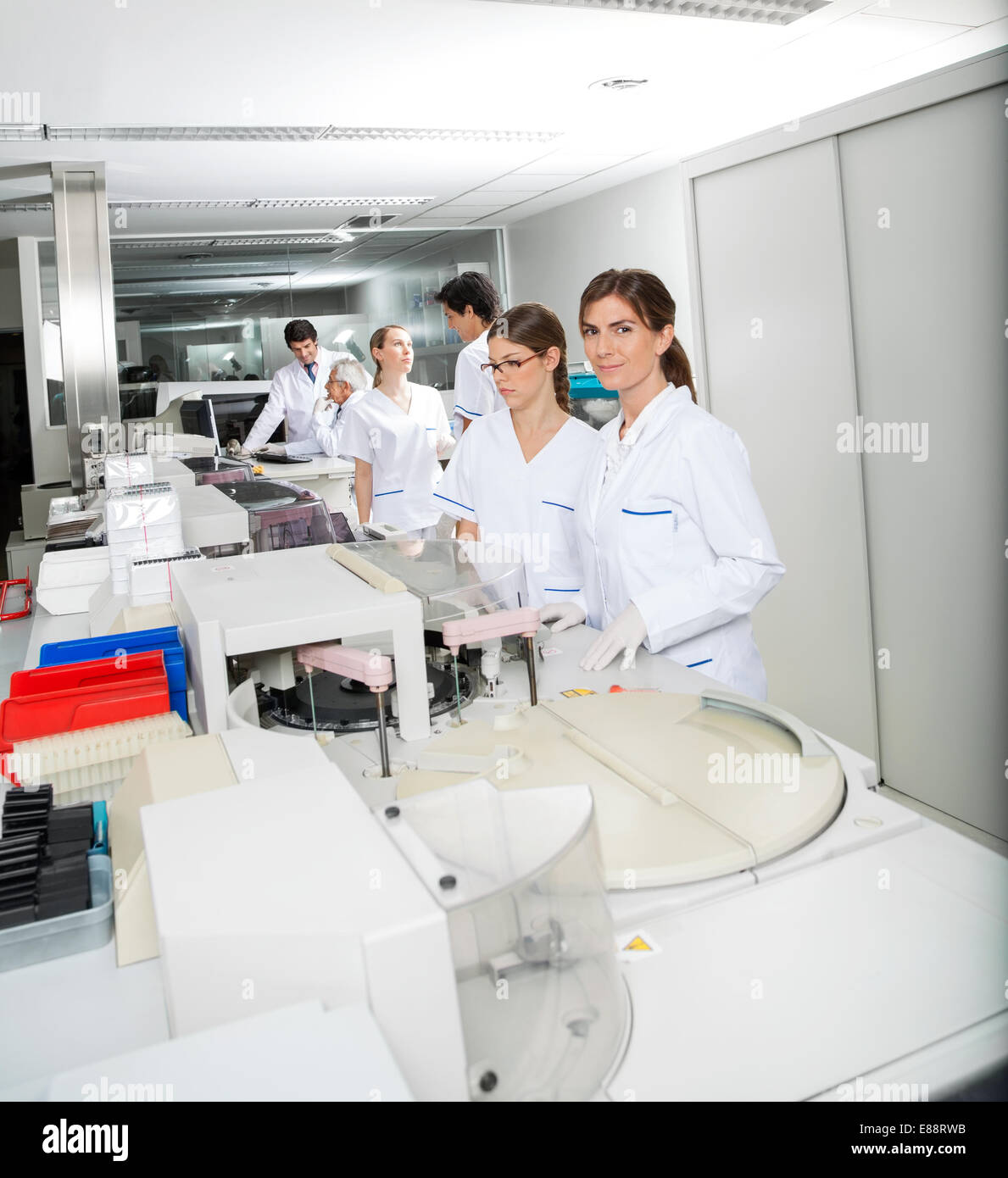 Technicien et collègue working in laboratory Banque D'Images